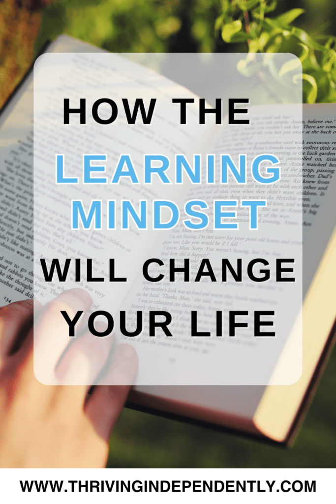 the learning mindset
