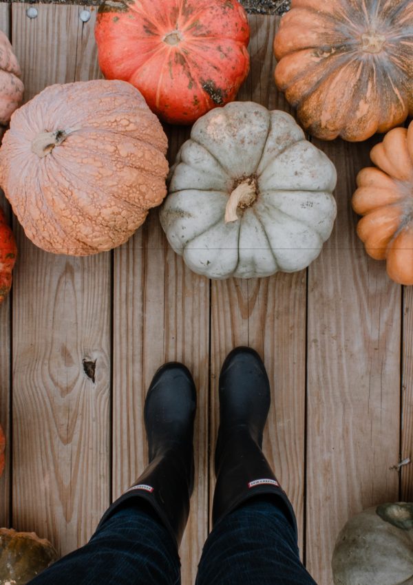 7 More Ways to Trigger Your Fall Growth Era This Year
